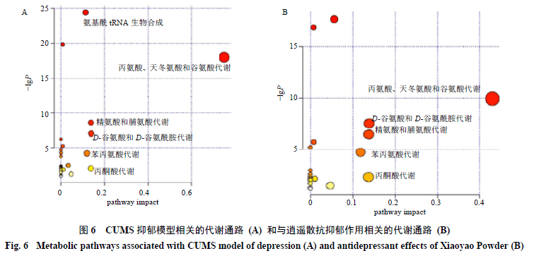 体育运动技能形成原理什么分化_彩虹形成的原理是什么(2)