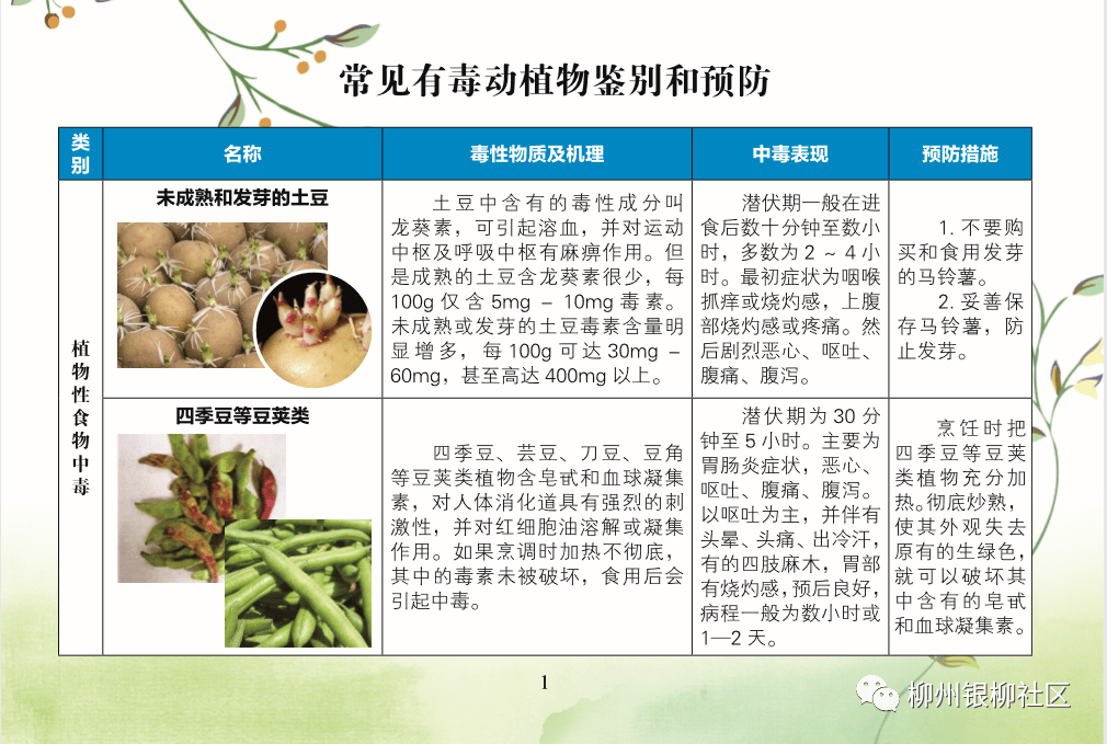 常见有毒动植物鉴别和预防