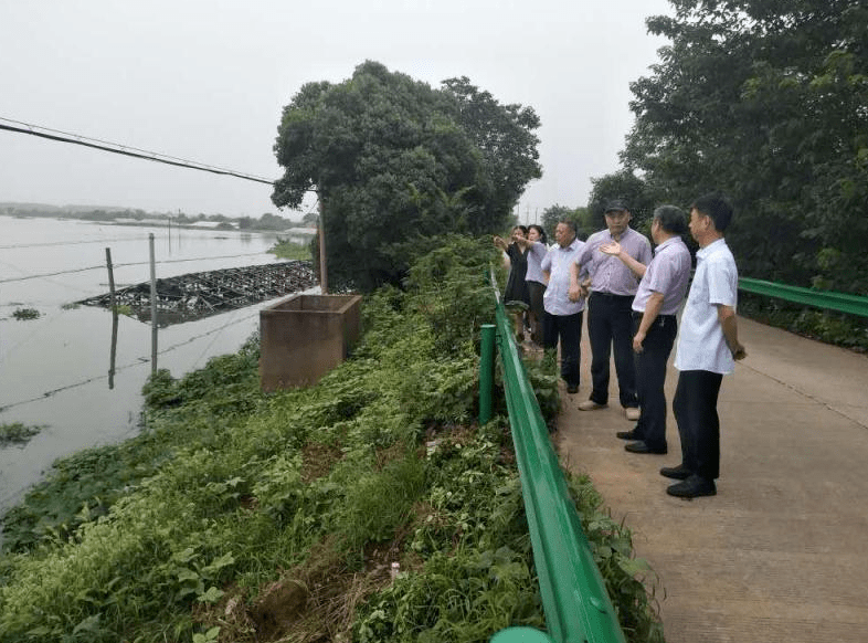 国元保险总裁殷寅赴铜陵池州黄山等地查看灾情并指导防汛救灾工作