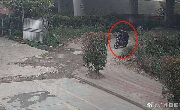 母子|母子三人组“碰瓷家族”多次摔母亲，已被刑拘