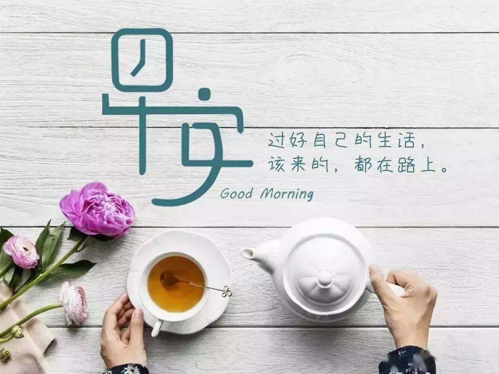 早上问候表情包_中老年问候表情包_问候表情包