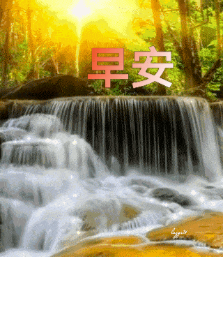 7张最漂亮的清晨早上好祝福语鲜花动态图片 唯美早安问候图片鲜花带字