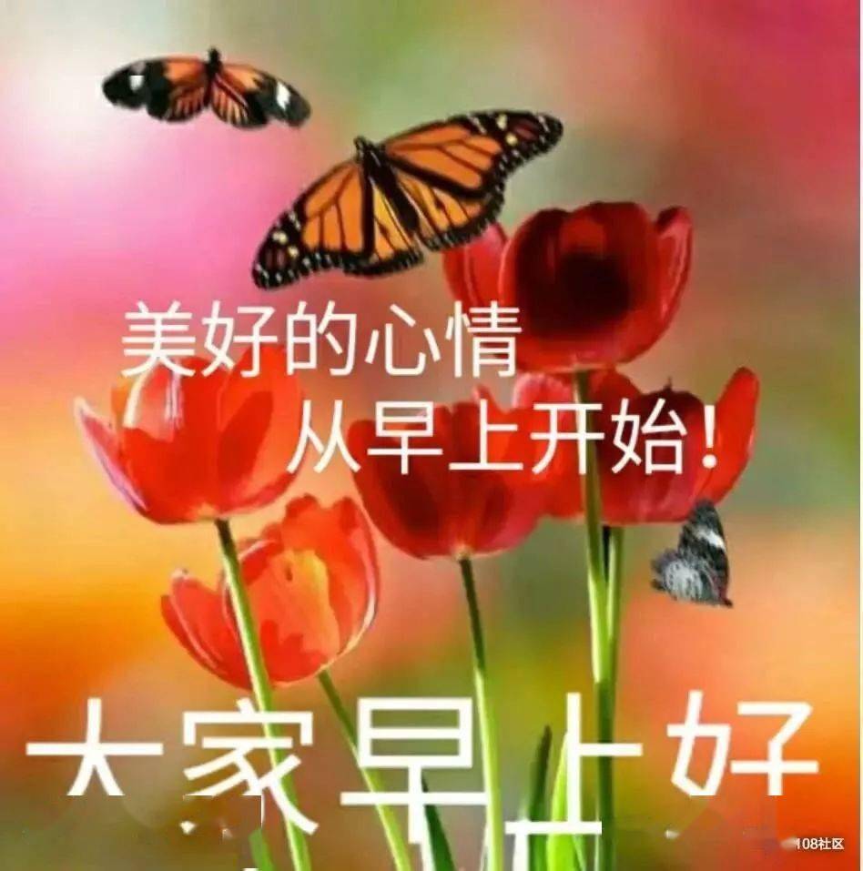 清晨问候大家早上好的漂亮图片带字,早上好温馨祝福语录图片