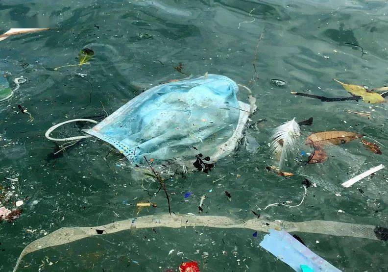 疫情期间,大量废弃的防护用品导致加拿大海洋垃圾飚升.