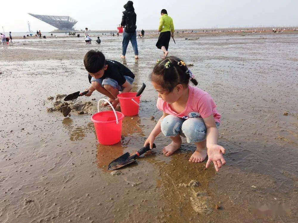 浪漫海滨极限飞跃 两日营(沈阳-鲅鱼圈海滨)