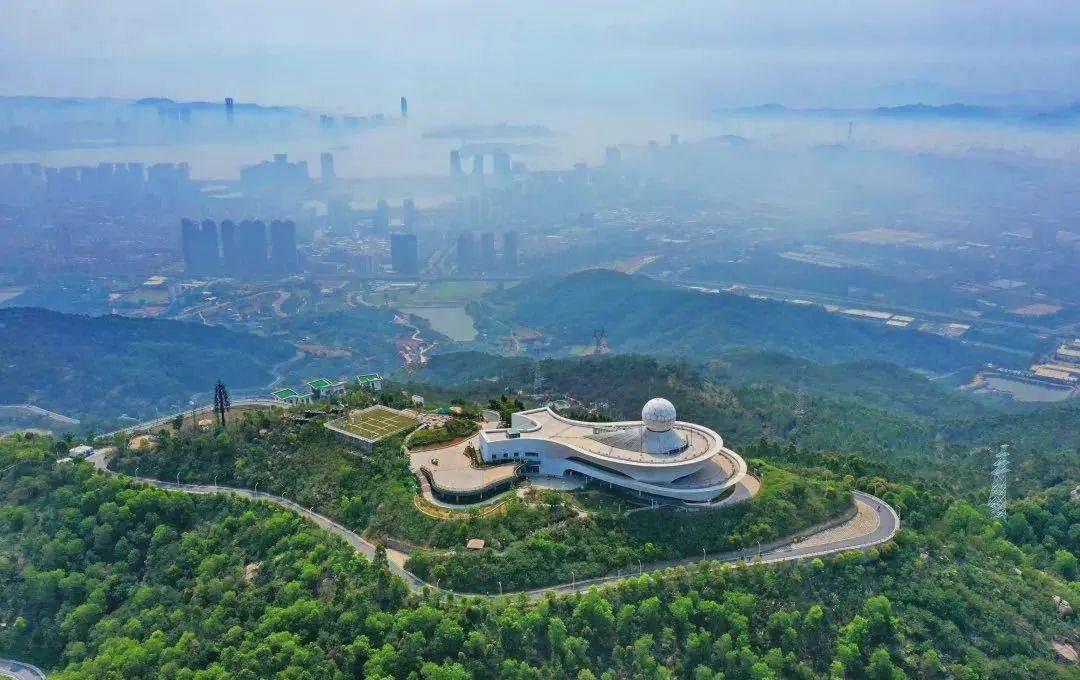 这里有80多亩薰衣草主题公园,数十家各具特色的农家乐…… 东坪山公园