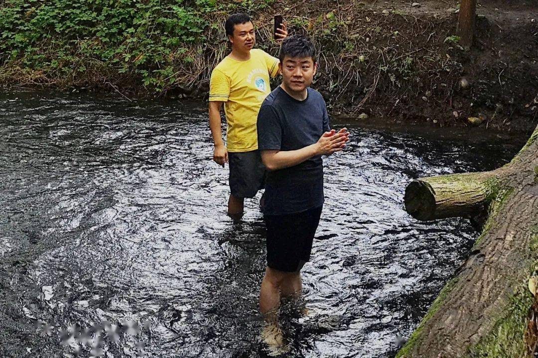 冒险|合理的冒险对儿童的健康成长至关重要