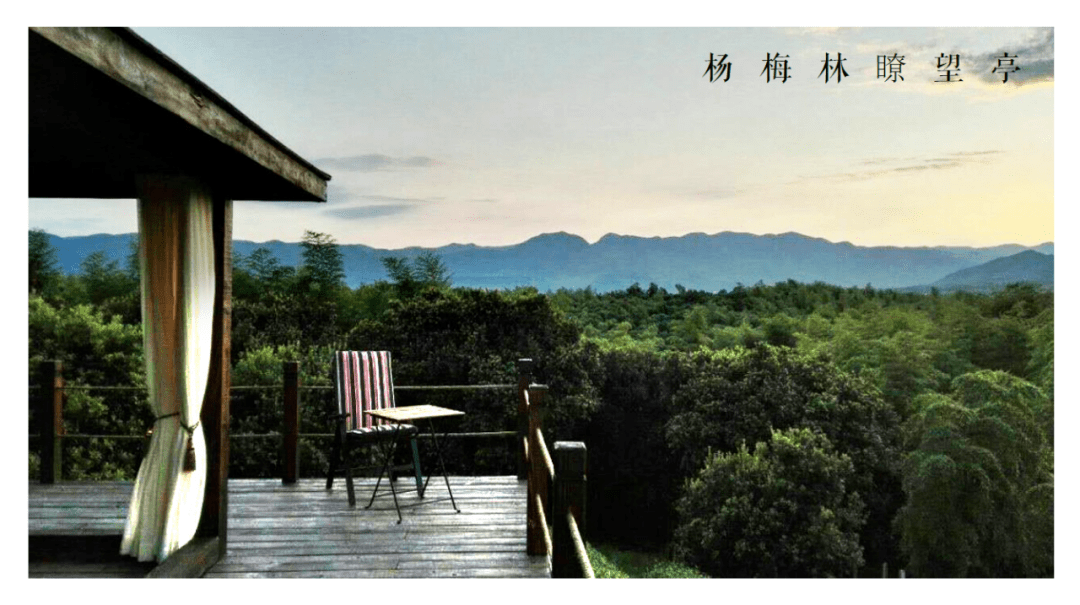湖州2020出生人口_2020湖州智能制造发展(2)