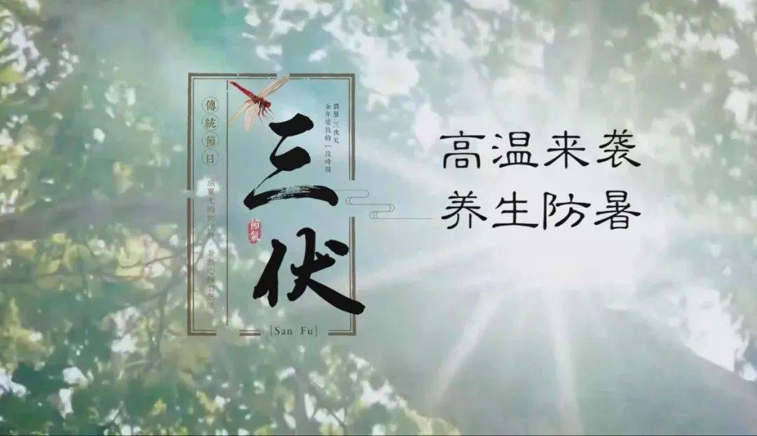 俗语云: "冷在三九,热在三伏" 今年的三伏天将从7月16日开始, 一直