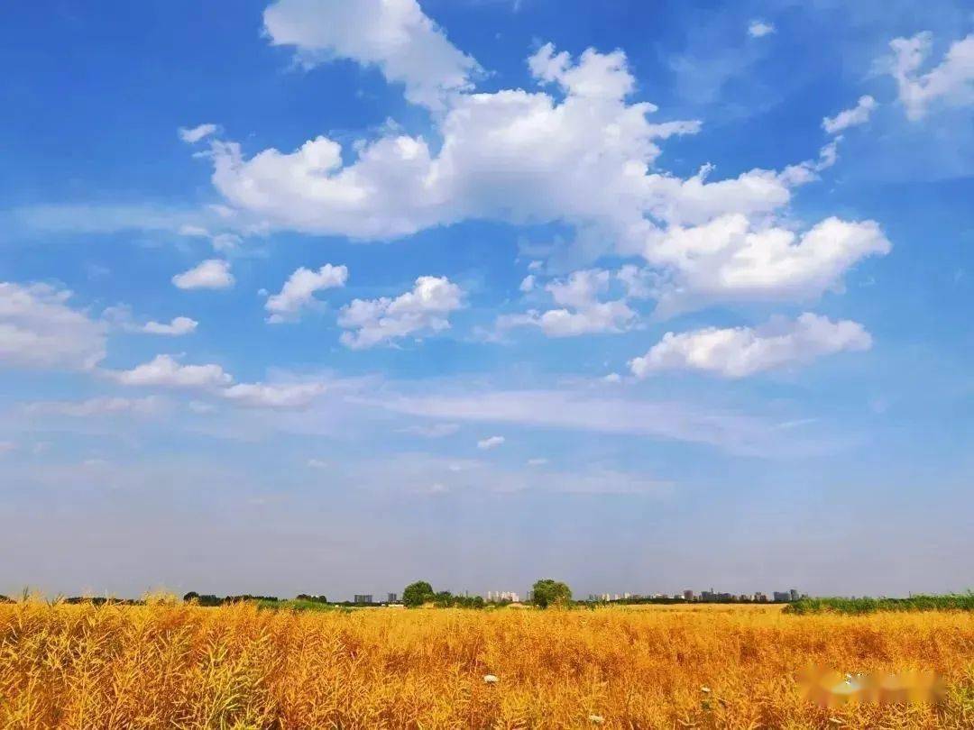 沭阳县2020年上半年g_沭阳县2020年规划图