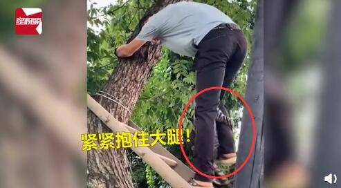 又可怜又搞笑!猫咪被救时紧抱救援人小腿