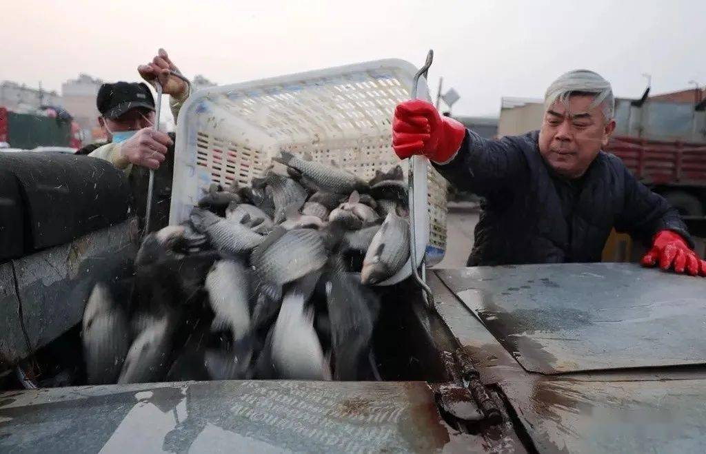 沭阳县2020年上半年g_沭阳县2020年规划图(2)