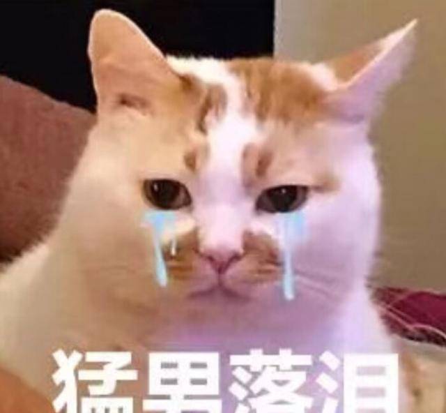 怎么变得嘴甜 47113c9293a1437dbf6a0b1bcc58219d.jpeg