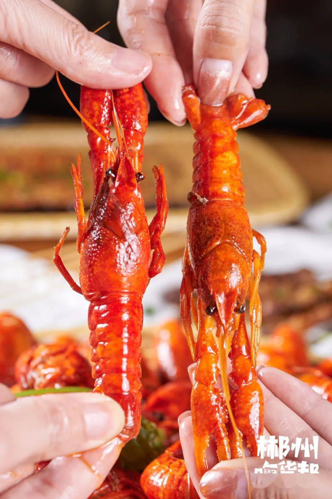 木屋|5.8折！快告诉郴州人！这家“木屋”带着火遍北上广深的烧烤来了！