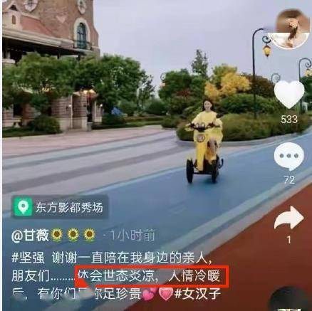 上海法院|甘薇欠5.3亿后朴素露面 出事后感慨:体会人情冷暖