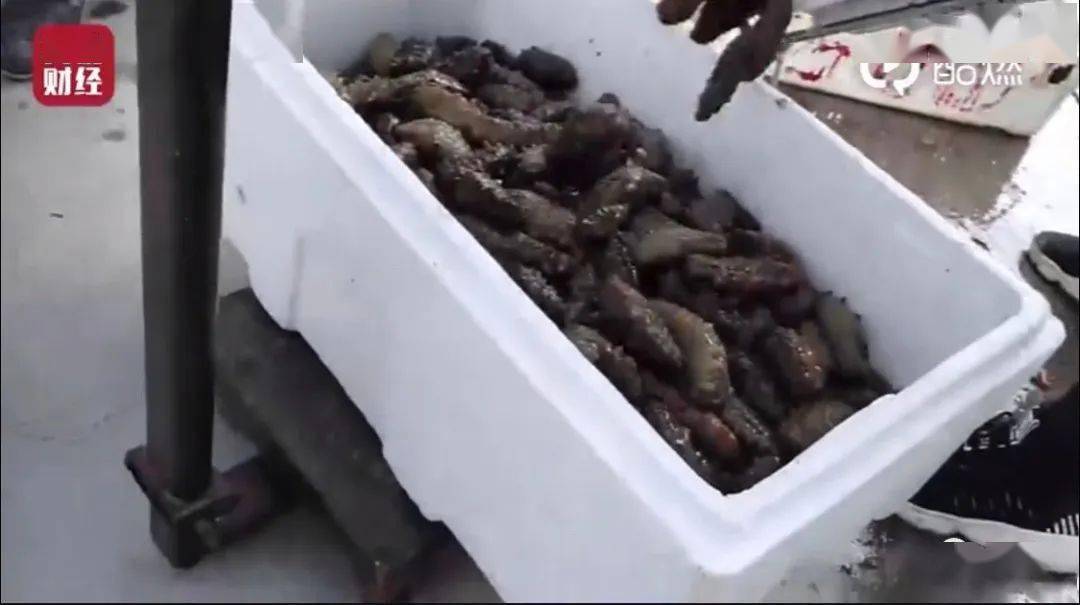 海参|汉堡王、万科、宝骏、趣头条等被央视“3·15”点名！多家企业排队致歉