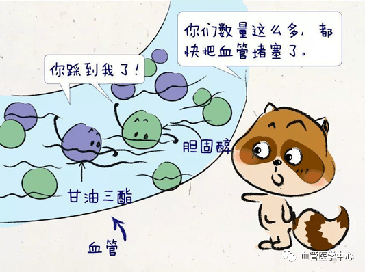 ml|你一直认为的血脂正常居然是错的？