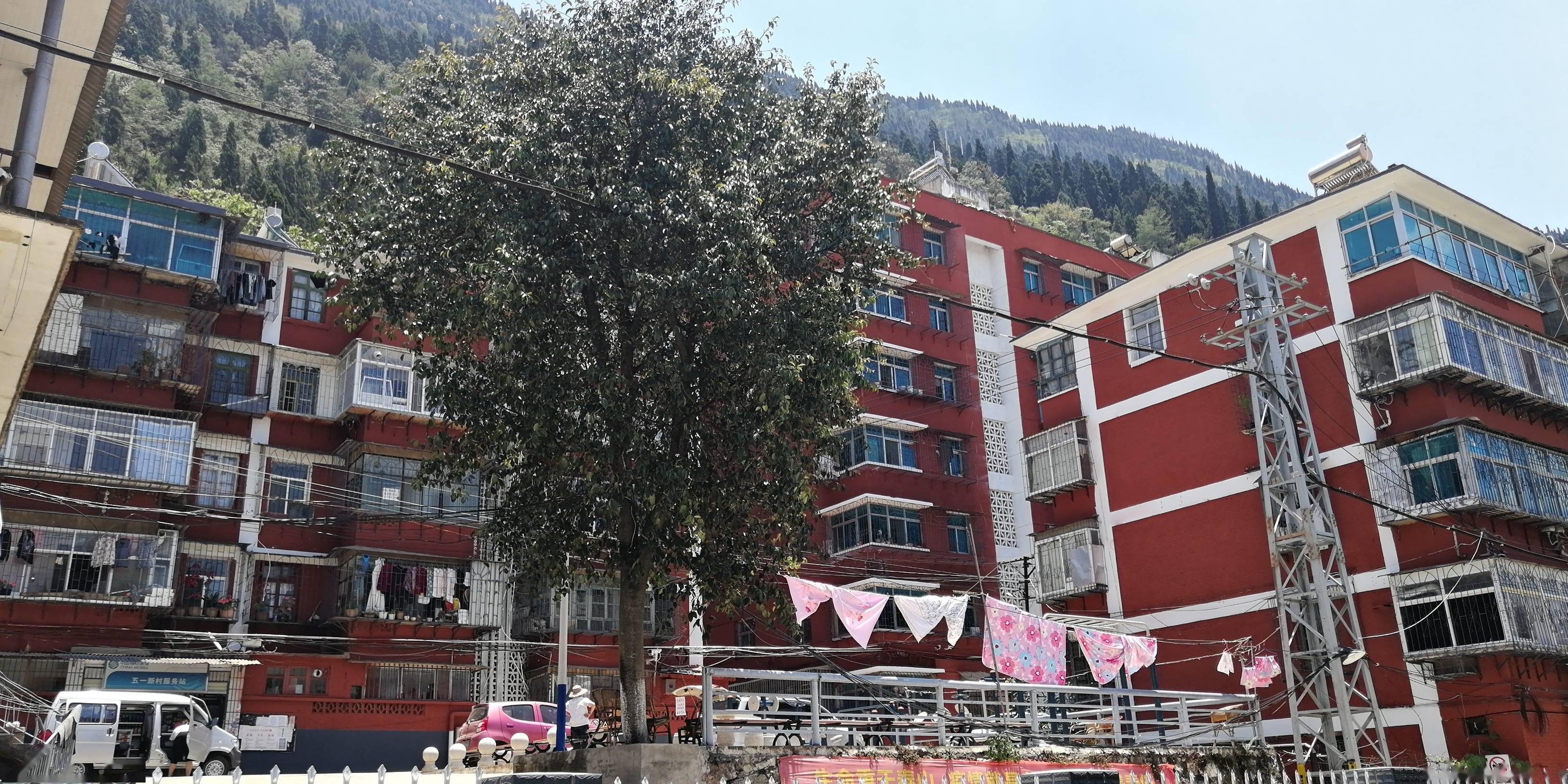 江西|又一个和鹤岗一样封神的城市，江西外卖小哥7万元在云南小城买了套房