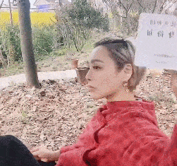 宁静另一身份曝光,又一位被演艺事业耽误的艺术家