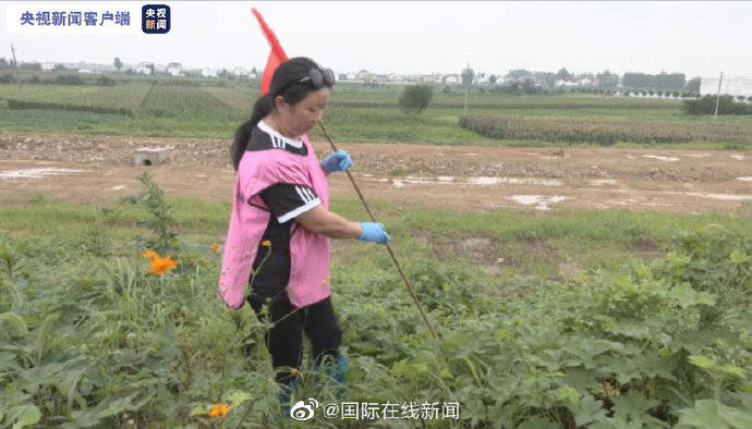 坚守|给坚守大堤的“姐姐们”点赞！