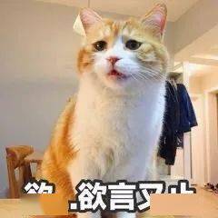 测评|10款热门粉底液测评!Dior居然输给了100+的开价品牌?