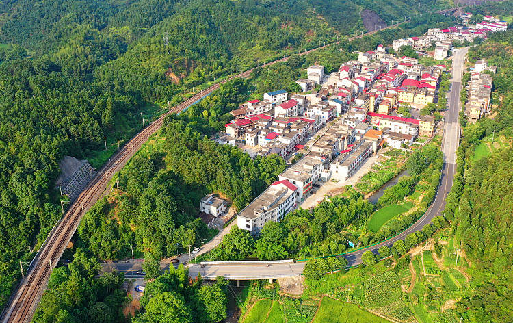 江西吉安:航拍村庄被铁路,公路环绕似树叶