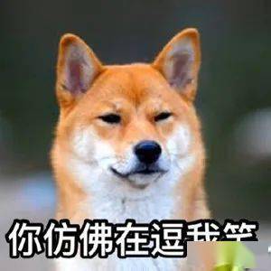 红衣服|抖音上の网红衣服都是垃圾货！千万别买！