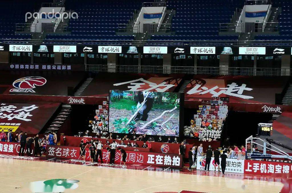 缘分|直播里偶遇心仪的大明星，这是什么奇妙的缘分！