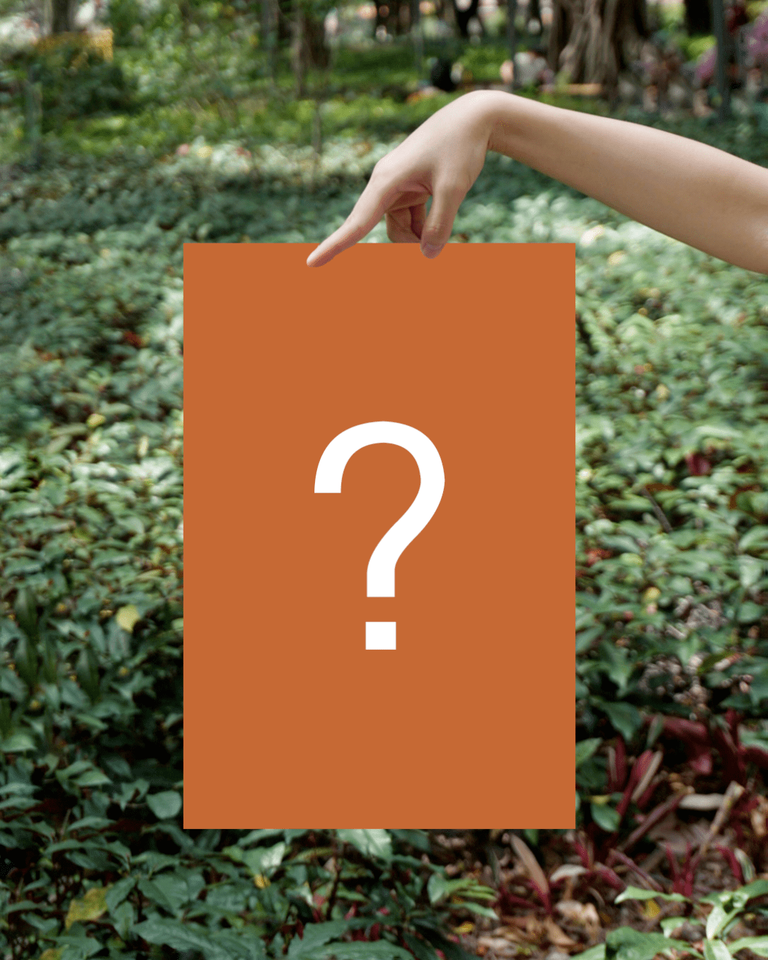 下午6点猜成语_看图猜成语