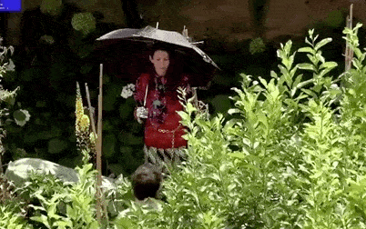 系列|12小时超长待机的“造梦机”,GUCCI不愧是你