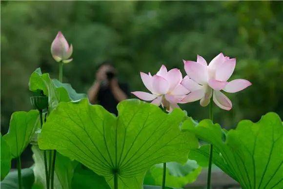 徐某|男子偷快递→“甩锅”给梅雨？！羡慕浙江要出梅了→上海啥时候？