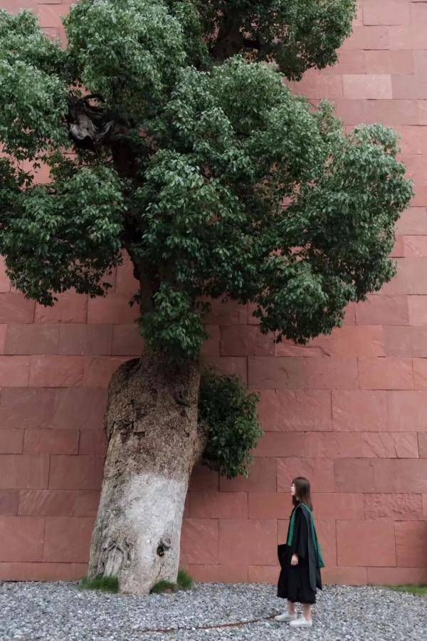 毕业|庚子年·毕业季，最美的青春在这里！快来下载你们的毕业合影