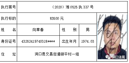 洞口人口有多少人口_掌上洞口114诞生 将会有几十万洞口人受益(2)