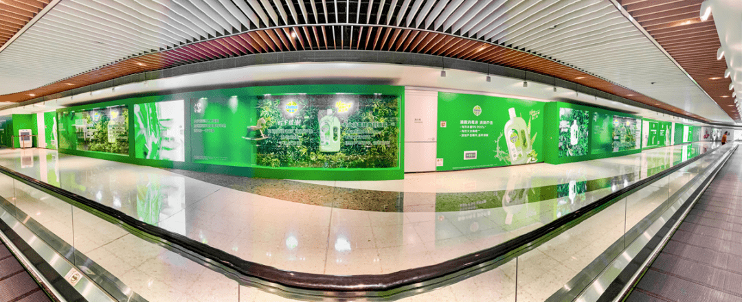 宠儿|解锁广州潮人打卡五大“宠儿”，反手给你一组潮流大片！