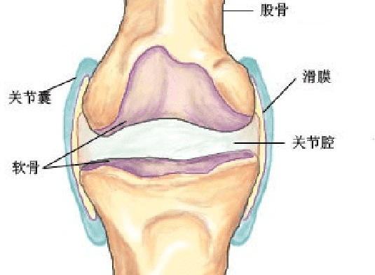 老年人腿疼怎么治（老年人腿疼怎么治好得快）-85模板网