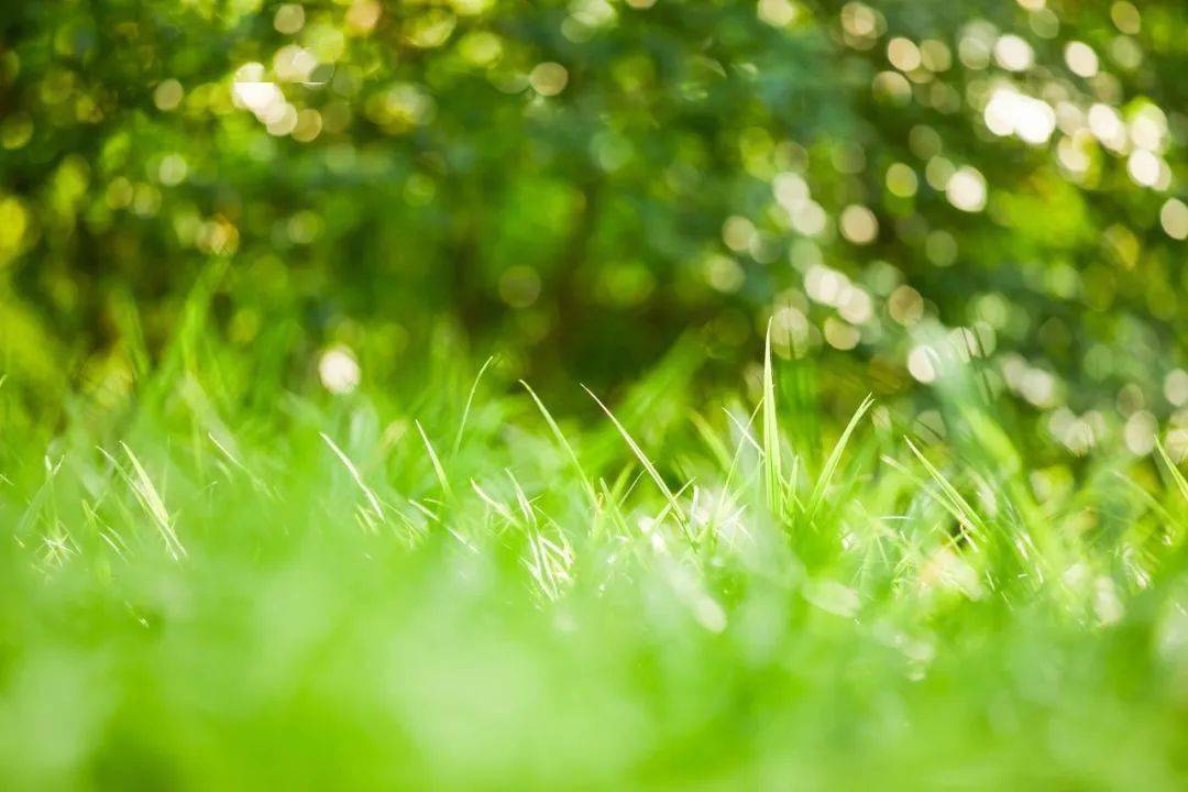 每晚的舒心钢琴声 |《little moritz》清新清澈,婉转抚慰