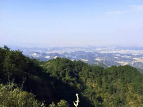 风雅龙游 | 在灵鹫山