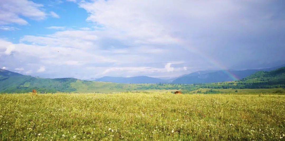 教给|作为教师，我们最应该教给学生什么？