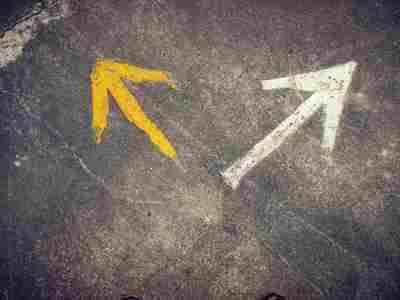 就业|高考志愿怎么填？大学生就业报告“指路”