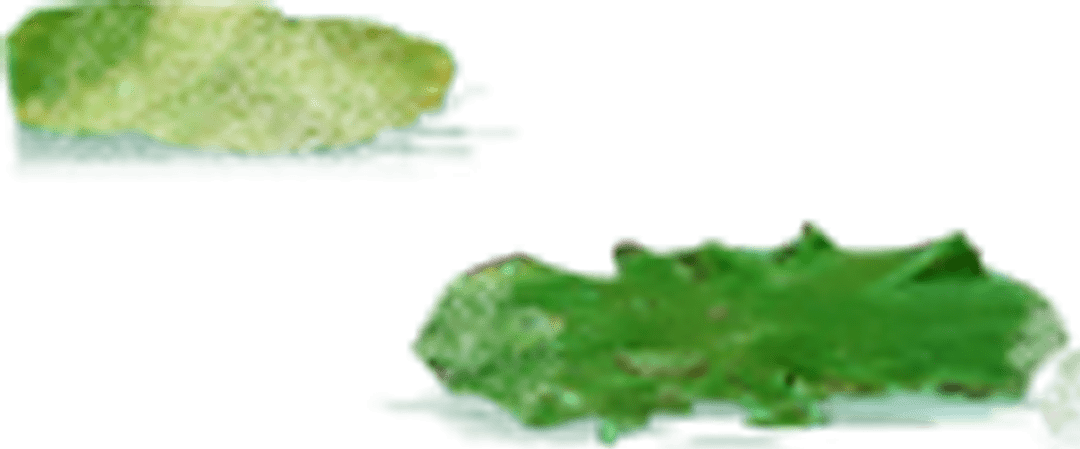 杭州2020积分入学排名_杭州市2020年积分入学启动了,不同区不同学校入学积(2)