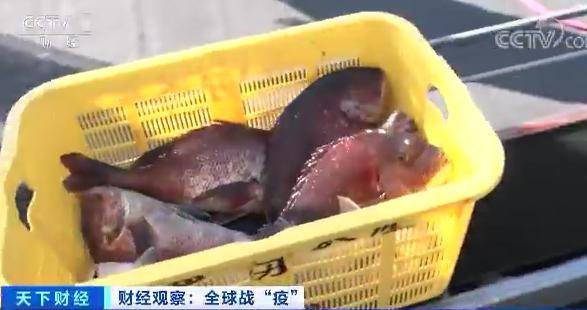 水产业|每公斤0.65元！这种日料店常见的鱼价格暴跌！吃货们急了