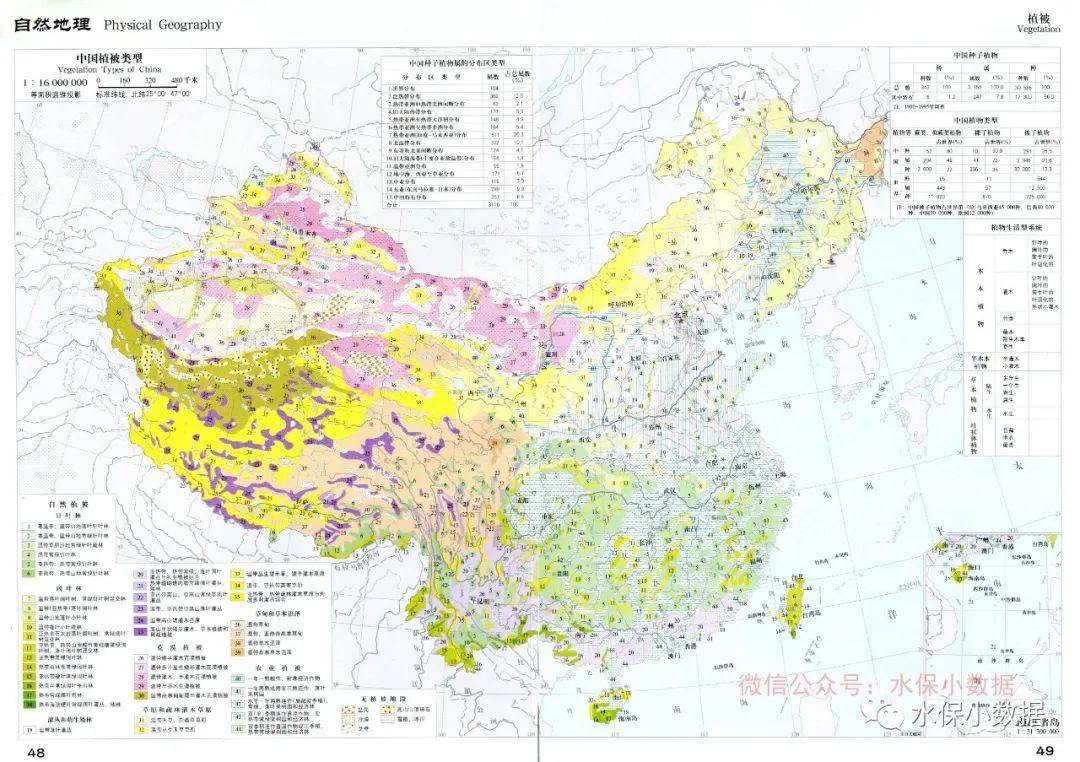 中国植被类型