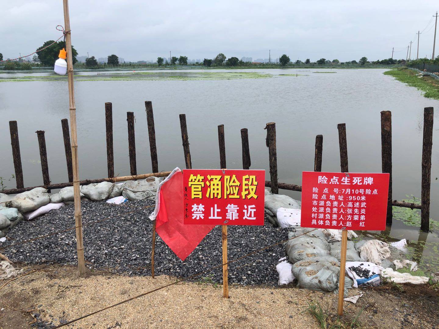 淤泥质土湖北第一大湖洪湖的水灾之困2021年4月15日(10)