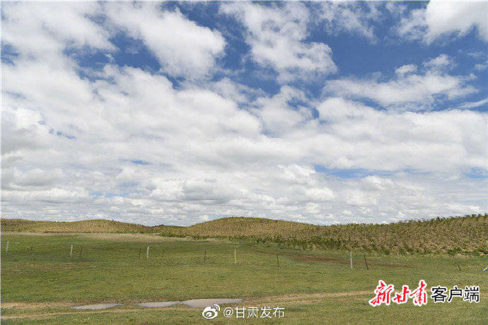 玛曲|图说玛曲治沙故事