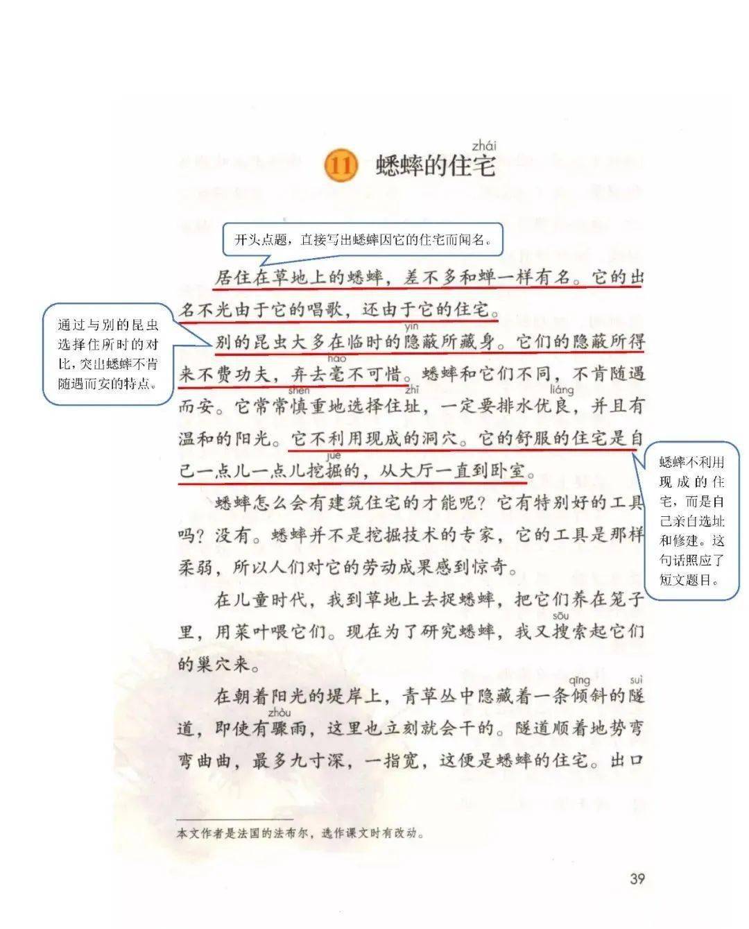 ab356a2a0dd2414f915e4806da161e35.jpeg