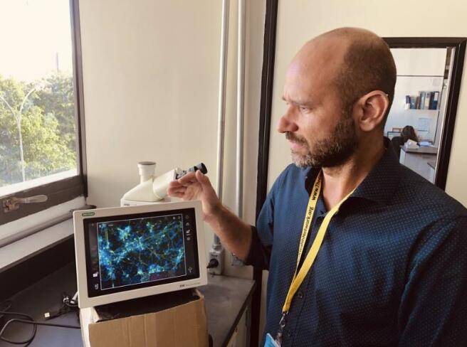 进展|寨卡病毒研究取得突破性进展 有望治愈小头症