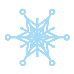奈思（NELTS）考试为孩子的升学保驾护航