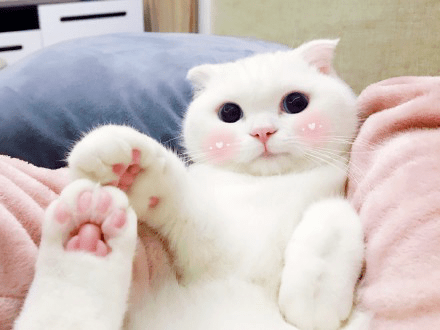 面膜|关晓彤、虞书欣才是“绿茶照”的高段位玩家！又纯又欲太撩人了！