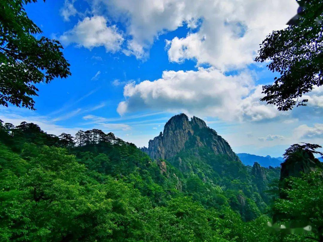 【大暑】黄山避暑三宝:山风,清茶,wifi