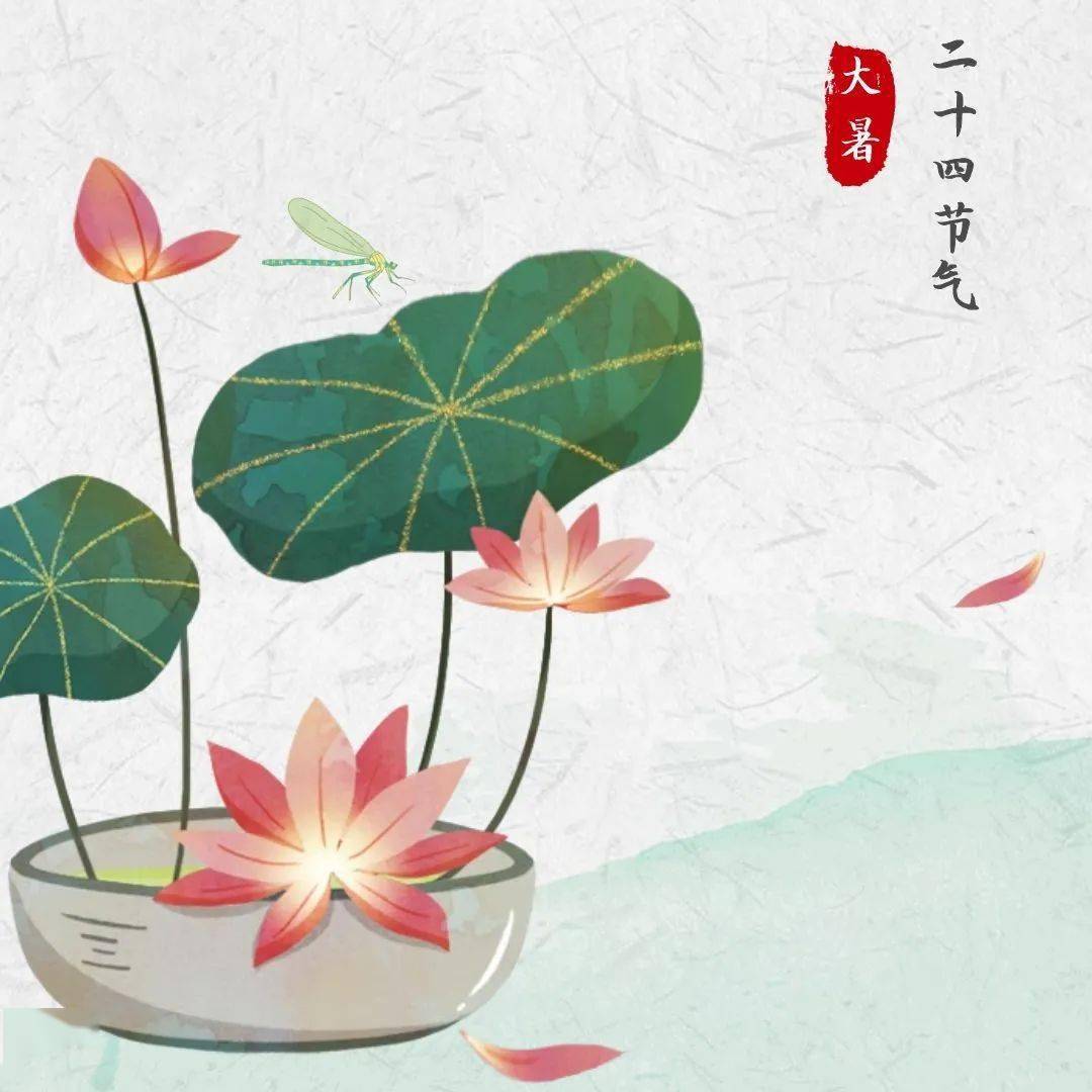 员工|到华新“开心农场”采摘去！大暑